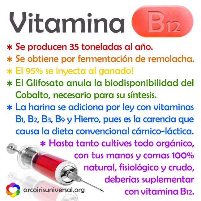 Vitamina B12